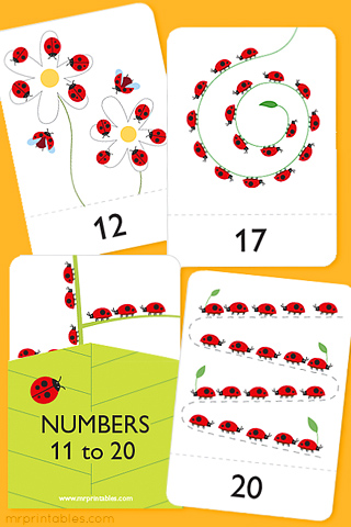 number flash cards