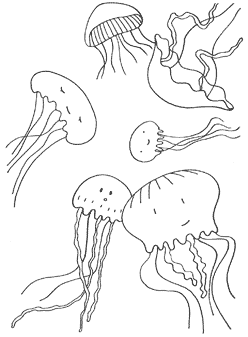 unther the sea coloring pages jellyfish2 Фон для раскраски подводного мира karton bumaga dlya detey 