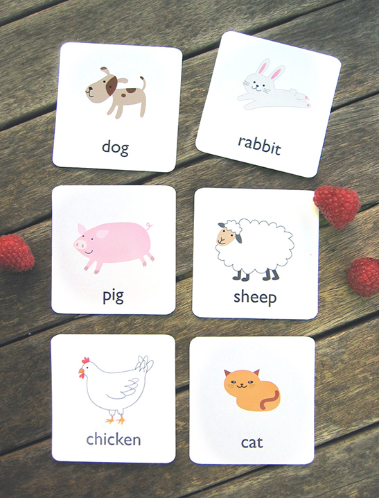 Basic Animal Flash Cards