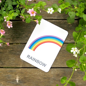 Earth Vocabulary Flash Cards